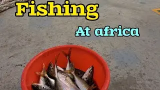 fishing at Mauritania Nouakchott africa