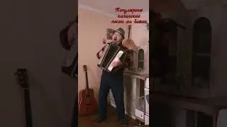 Популярные классные казахские песни и хиты на баяне 