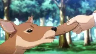 Expert Lickers