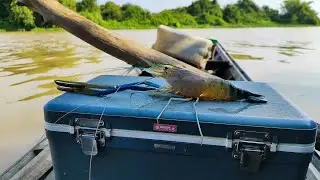 MANCING UDANG DI SUNGAI JONTOR LAMPUNG (Banyak Ranjaunya)!!