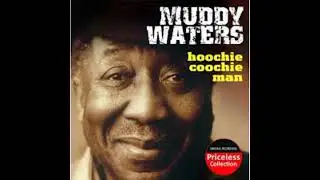 "Hoochie Coochie Man" by  Muddy Waters. Cover by Don James with Doghouse.