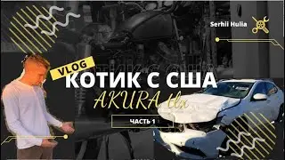 Котик с США  Acura TLX 2019
