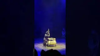 The Lion King Show intro in Hongkong Disneyland #hongkongdisneyland #disney