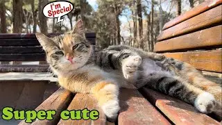 Super cute girl , so friendly , i like her face , she likes me too