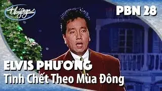 Elvis Phương - Tình Chết Theo Mùa Đông (Lam Phương) PBN 28