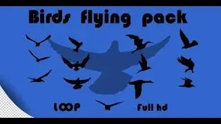Birds Flying Pack - motion graphics