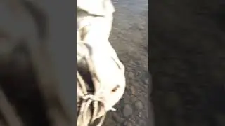 catch fish in frozen river 