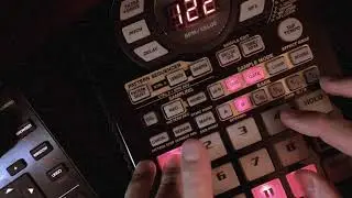 DmiBeats • Saami's Life (SP-404)