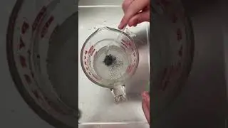 Making Lures Tiktok humzabaits