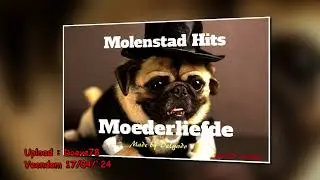 Molenstad Hits   (2002)   -   Roosmarie