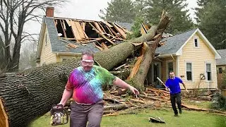 Idiots With Chainsaws & Tree Cutting Fails | Extreme Dangerous Logging Truck Fails #3