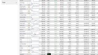 nse 1