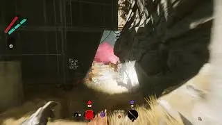 Photo Finish