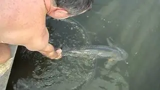 MOV00582