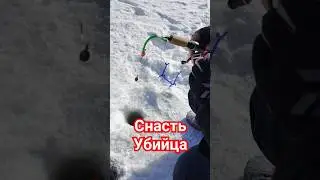 Снасть Убийца Окуня.