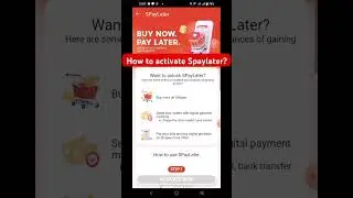 How to activate Spaylater?