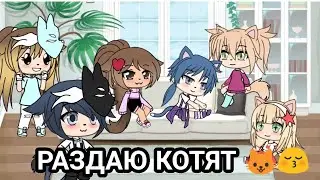 РАЗДАЮ КОТЯТ🐱😚