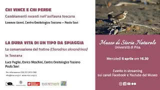 Biodiversità e conservazione degli uccelli in Toscana