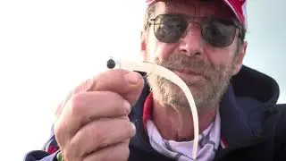 Stefano Corsi presenta hokkaido hook eel per il mare