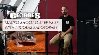 Best macro for Canon!? RF 100mm vs EF 100mm Macro comparison