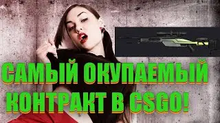 САМЫЙ ОКУПАЕМЫЙ КОНТРАКТ В CSGO!!!