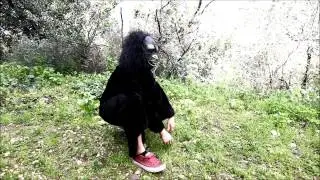 Beeri The Gorilla