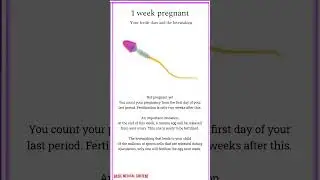 Pregnancy : Week 1 