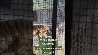 #детки #любовь #счастье #крым #природа