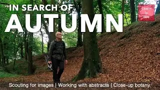 Searching for signs of Autumn