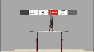 Zou Jingyuan Tokyo Olympics Parallel Bars Routine