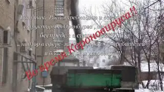 Менингит, токсоплазмоз, криптококк, сальмонеллёз, прямо к подъезду дома - от нашей Упр. компании!!