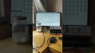 raspberry pi sourdough timelapse setup