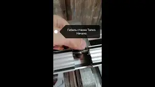 Гибель листогиба Tapco. Начало.