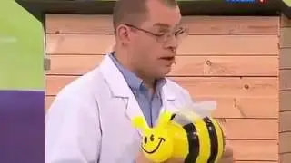Продукты пчеловодства для щитовидной железы на TV. 