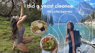 what I eat in a week while cleansing | gut reset