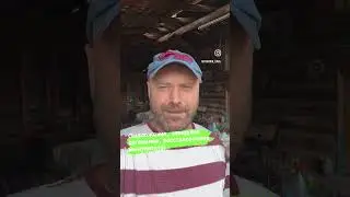 Хрен вам для омоложения!