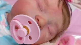 ROTINA DA BEBÊ REBORN ANA LAURA/#kitlaura