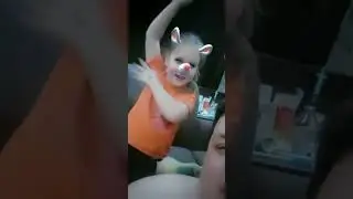 В доме завелись мыши!!! Что делать?