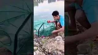 Cool! Go outside and find delicious food 🐟 🏕#camping #outdoors #fishing #shorts