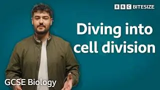 GCSE Biology | Diving into cell division