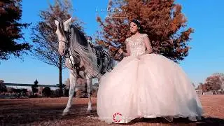 15 Stephanie | Producciones Calderon