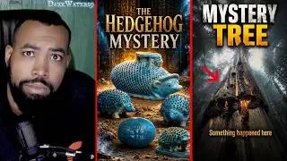 Mysterious Videos That Broke My Understanding!