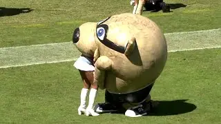 The Weirdest Moment on an NFL Broadcast