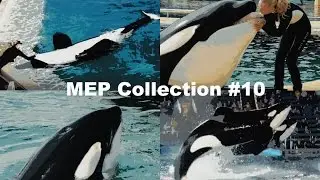 MEP Collection #10