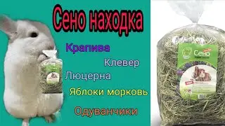 Сено для шиншилл.