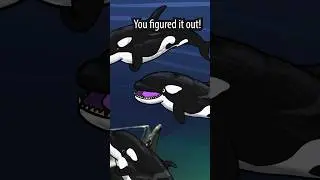 Livyatan figures out the Orca plot!