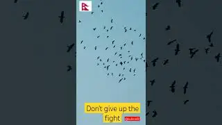 Don't Give up the fight #nepal #shorts #nepal