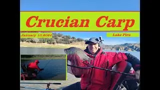 HERABUNA -LAKE PIRU, CRUCIAN CARP FISHING PART 1-  へら