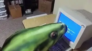 Bass use a computer - kugee Reupload