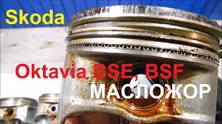 Skoda Octavia 1.6 BSF High oil consumption. Defect detection.